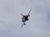 0W3A1655 v1web
