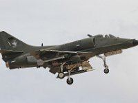 MEaIMG 7740