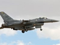 MEaIMG 7888