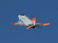 SB IMG 2475