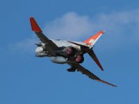 SB IMG 2528