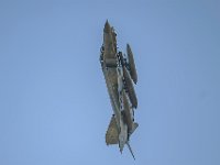 DSC17