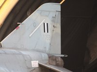 IMG 0531